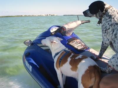 Florida Key Jet Ski Rentals