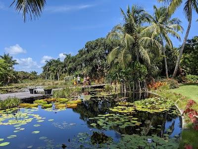 Naples Botanical Garden