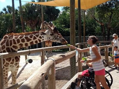 Naples Zoo at Caribbean Gardens