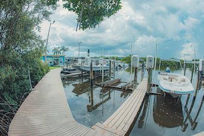 Tampa Bay Water Sports