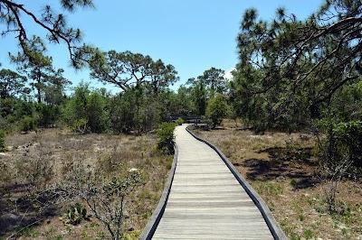 The Naples Preserve