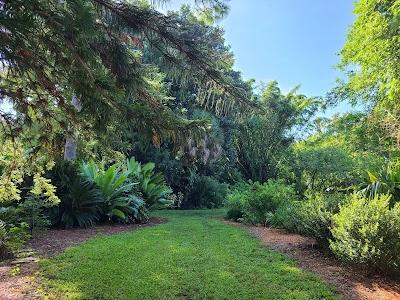 USF Botanical Gardens